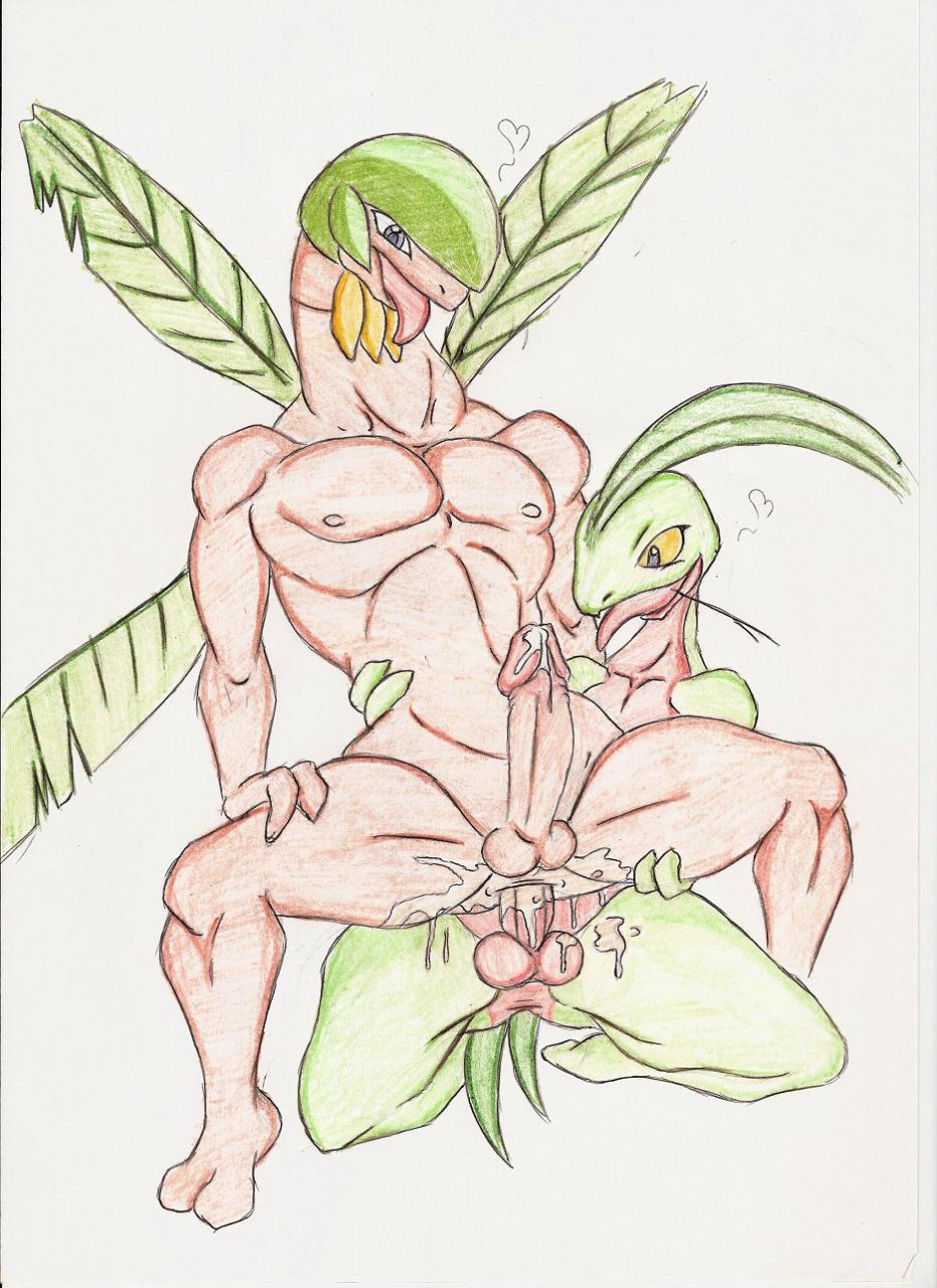 Artist - Dark-Moltres page 12 full