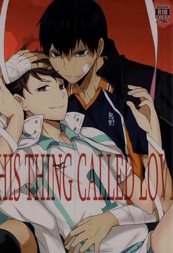 (RTS!!5) [Kakusei Desire (Kurot)] THIS THING CALLED LOVE (Haikyuu!!) cover