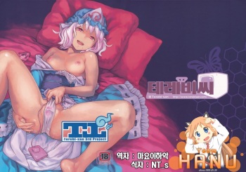 (C80) [Terebisan (Chuusuu Kairo)] Touhou Terebisan (Touhou Project) [Korean] [Team HA-NU] cover