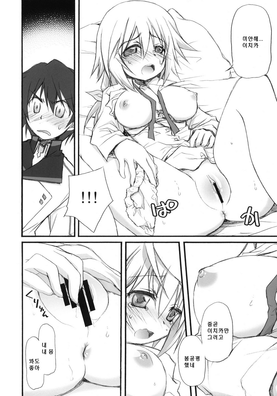 IS -Icha Icha Stratos- page 11 full