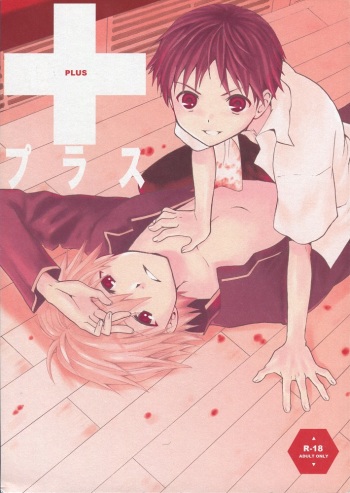 (C77) [RAYTREC (Fuyunagi Reku)] +PLUS (Neon Genesis Evangelion) cover