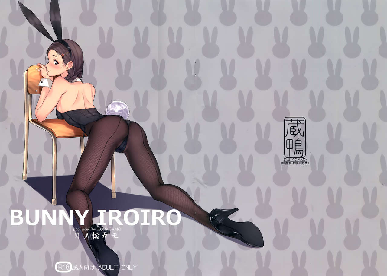 BUNNY IROIRO page 2 full