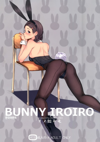 (C90) [Kuragamo (Tukinowagamo)] BUNNY IROIRO [Korean] cover