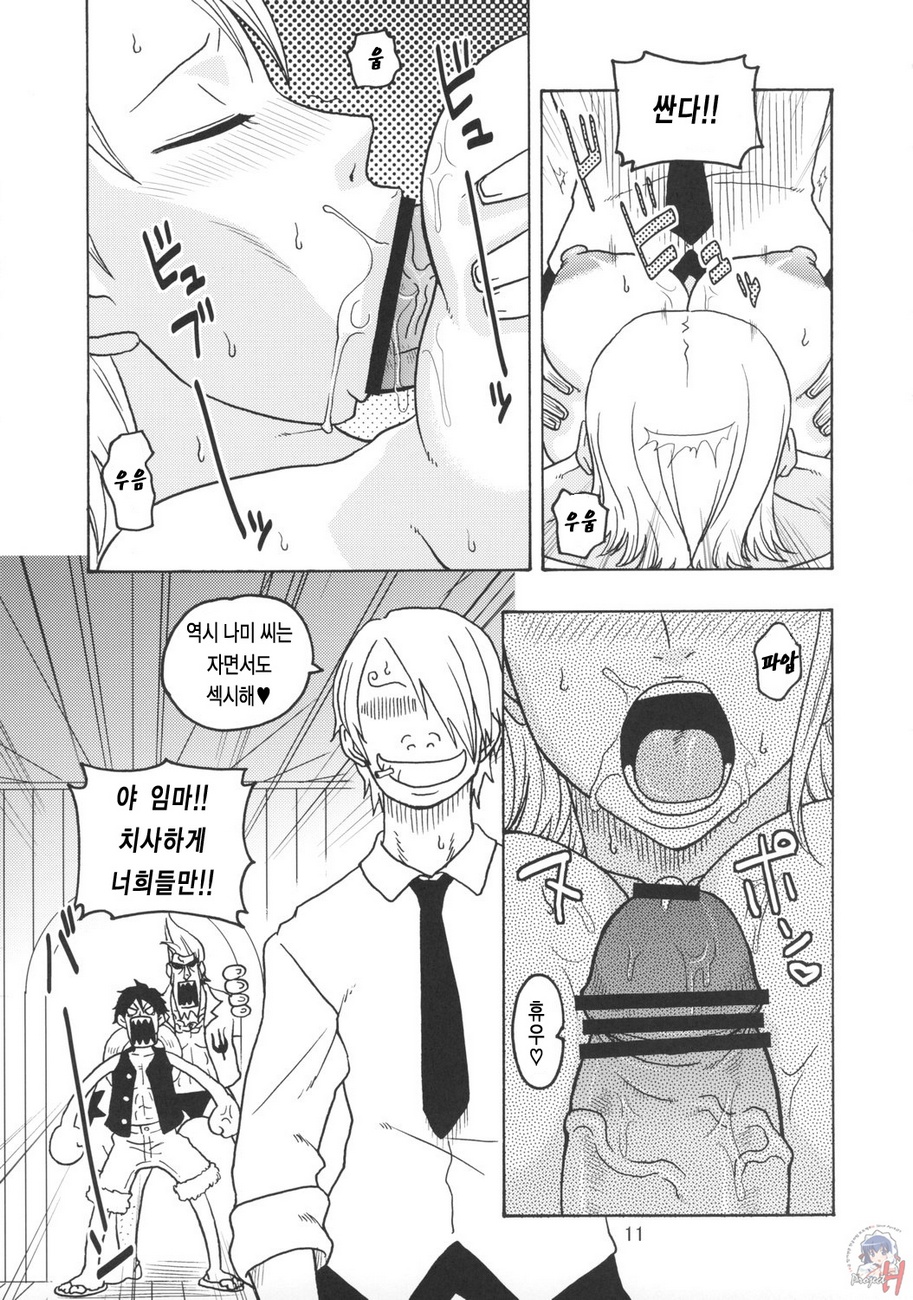 Nami no Koukai Nisshi EX NamiRobi page 12 full
