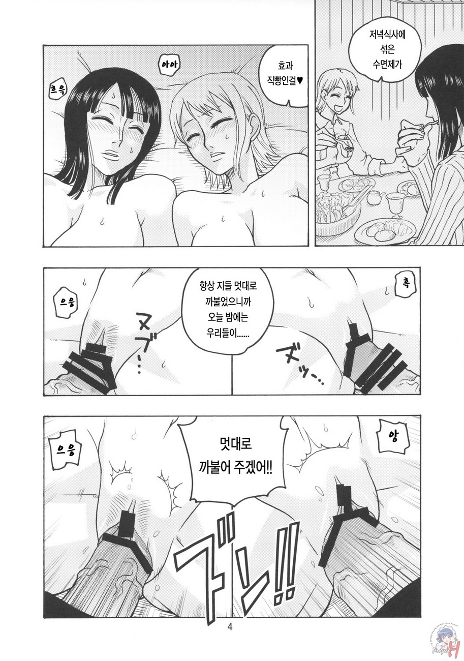 Nami no Koukai Nisshi EX NamiRobi page 5 full