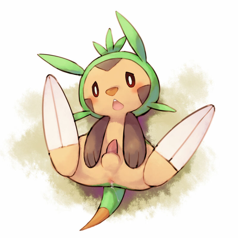Chespin page 11 full