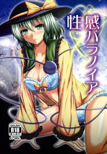 (C86) [+5 (Taka♂)] Seikan Paranoia (Touhou Project) cover
