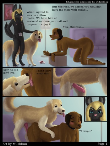 [Mushbun] Mounted cover