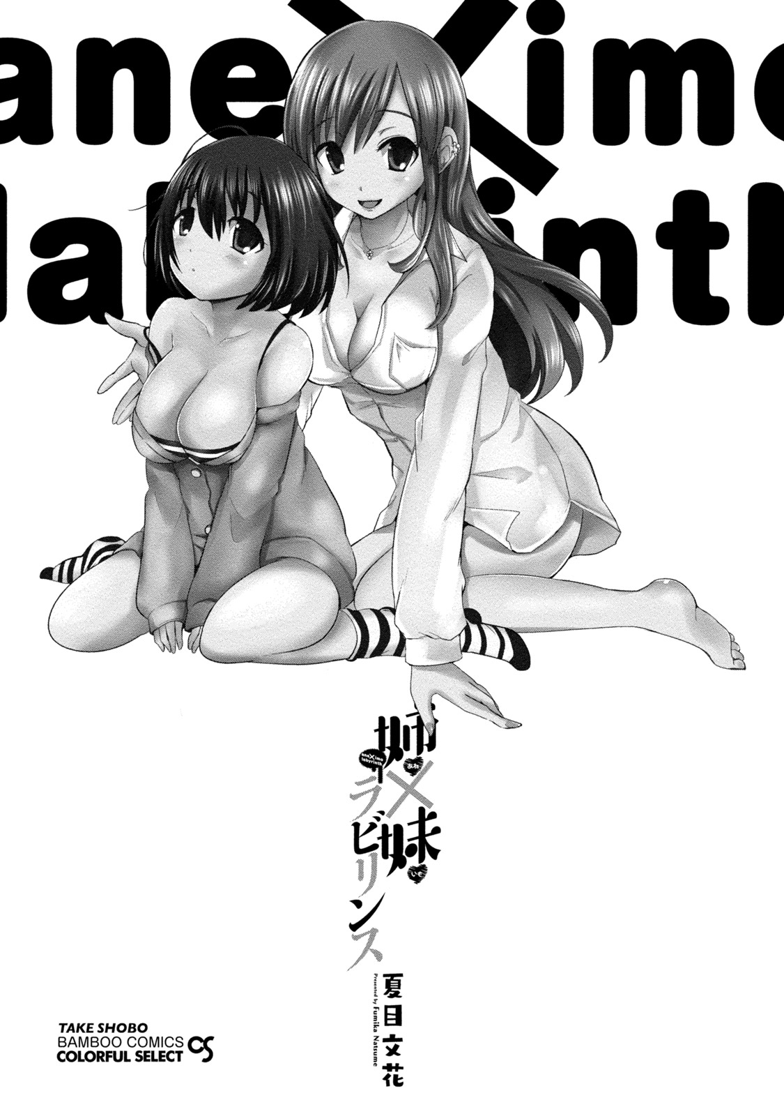 Ane x Imo Labyrinth page 3 full