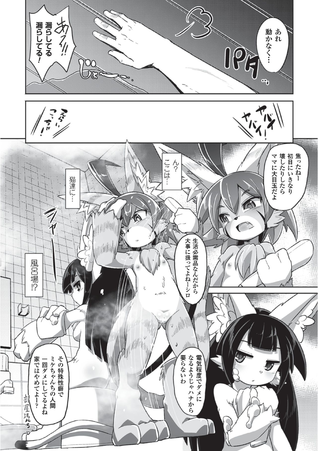 Tadashii Neko no Kawa Rekata page 12 full