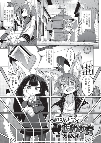 [Emons] Tadashii Neko no Kawa Rekata (2D Comic Magazine Monster Musume ni Okasaretai! Vol. 2) [Digital] cover