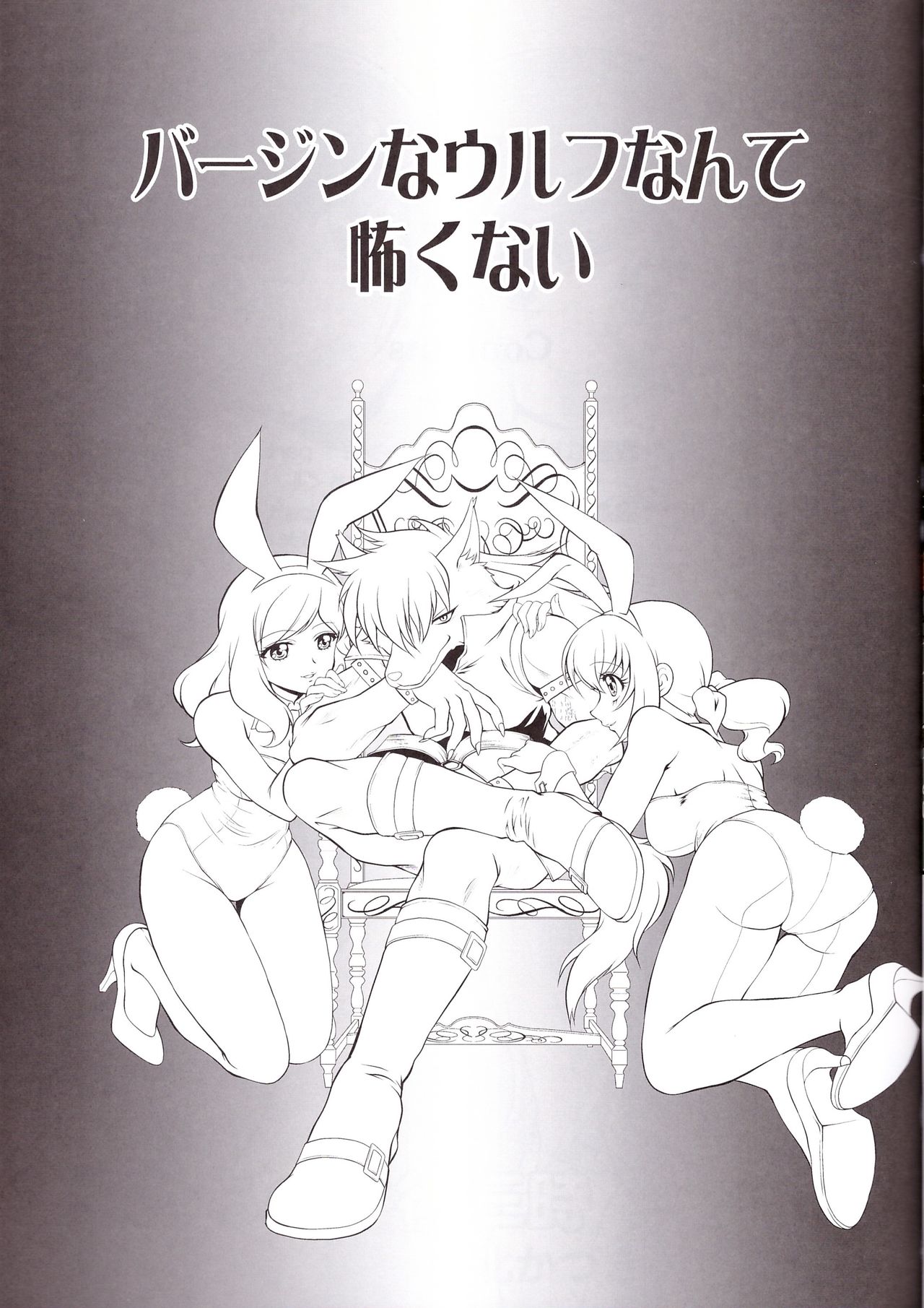 Virgin na Wolf nante Kowaku nai page 11 full