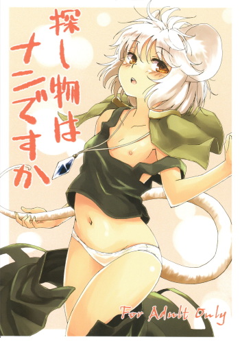 (C82) [Animal Passion (Yude Pea)] Sagashimono wa Nan Desu Ka (Touhou Project) [Korean] [팀 아동복지부] cover