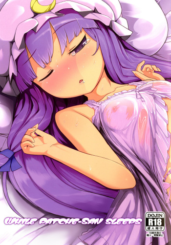 [Yashiya (Yassy)] Patche-san no Neteru Aida ni!! | While Patche-san Sleeps (Touhou Project) [English] [Veinfag] [Digital] cover