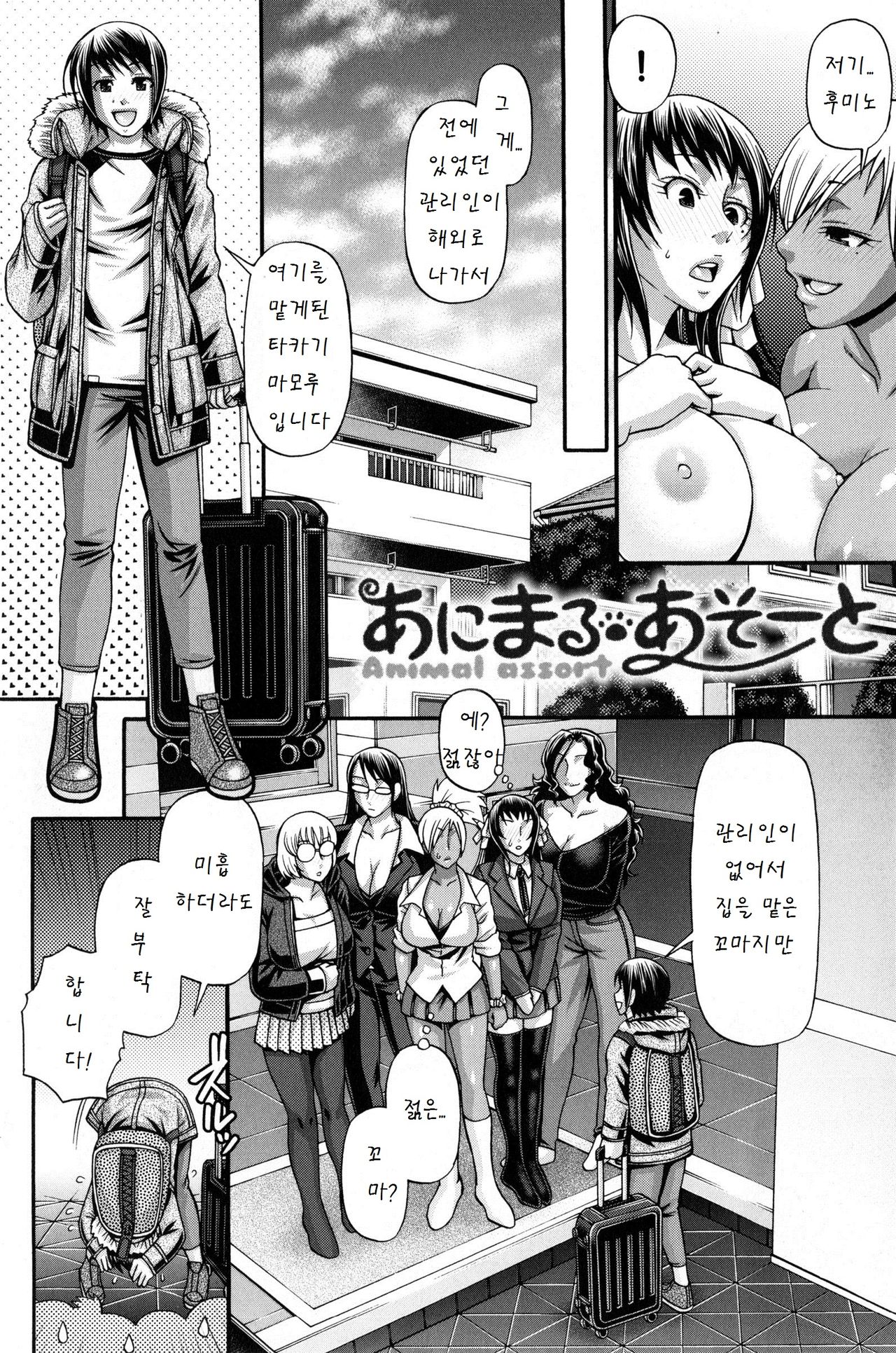 Animal Assort page 12 full