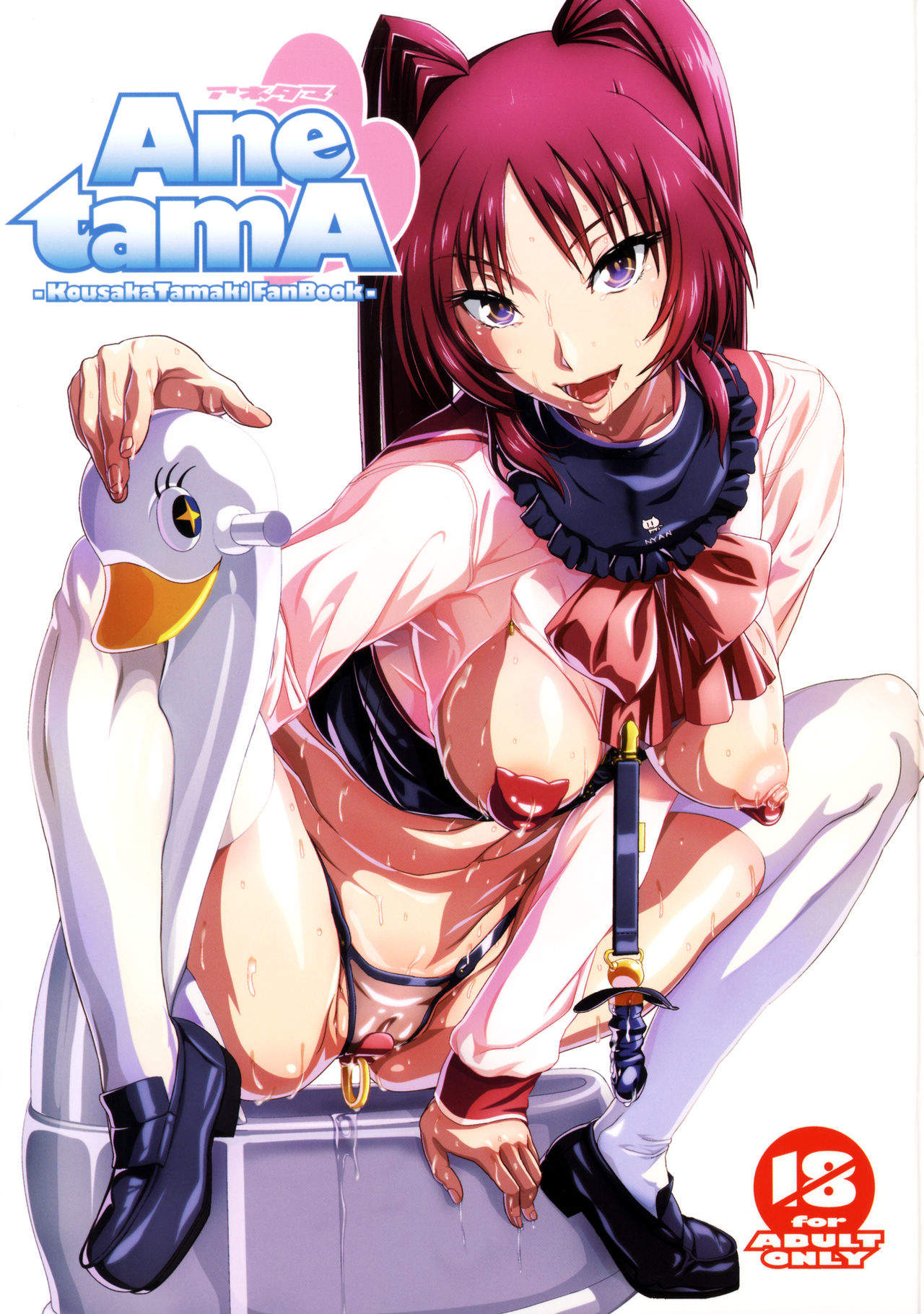 Ane tamA -Kousaka Tamaki Funbook- page 1 full