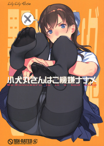 (C90) [LilyLilyRose (Mibu Natsuki)] Koinumaru-san wa Gokigen Naname | Ms. Koinumaru is in a bad mood [English] cover