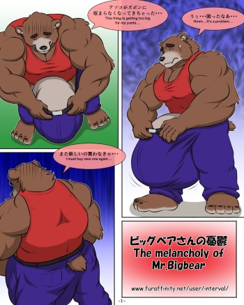 [interval] The melancholy of Mr. Bigbear cover