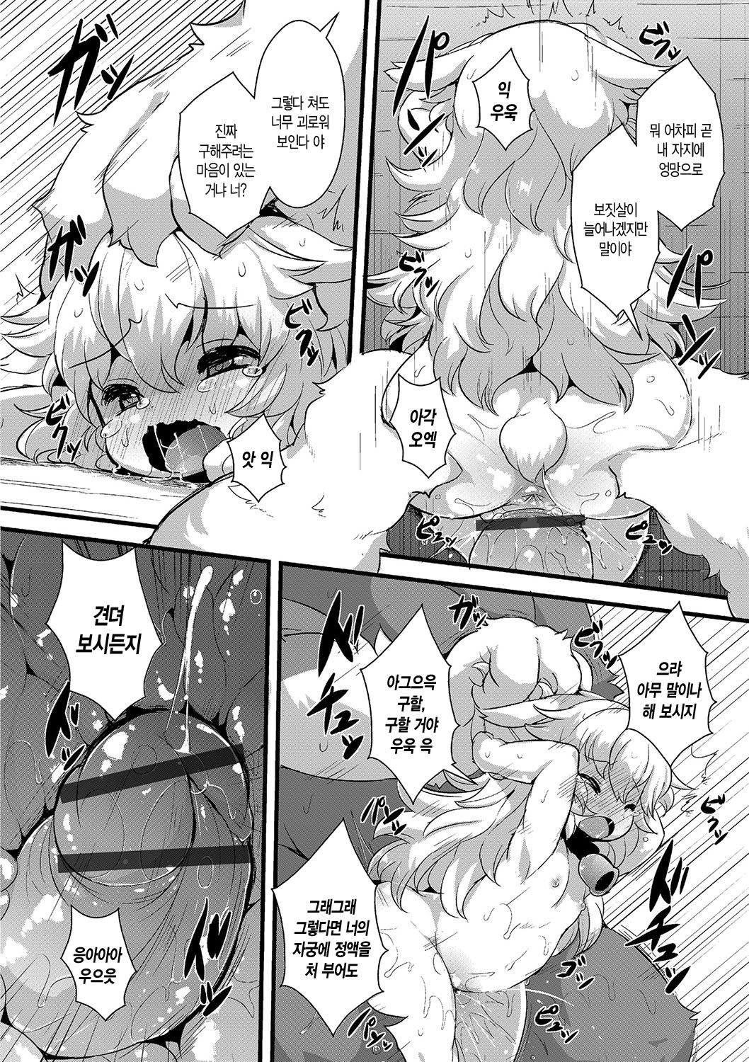 Ookami to Shichihiki no Koyagi Detail page 12 full