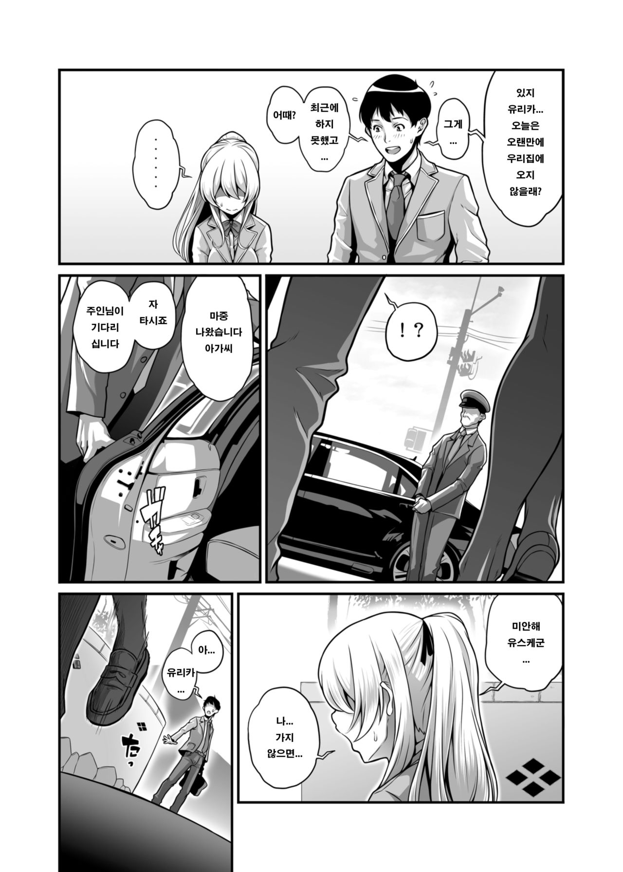 Daraku Reijou Hakoiri Ojou-sama Netorare Choukyou Kiroku page 3 full