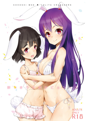 [Lolita Crusaders (Kohoshi Moe)] Mochitsuki Usagi ga Pyon x3 (Touhou Project) [Digital] cover