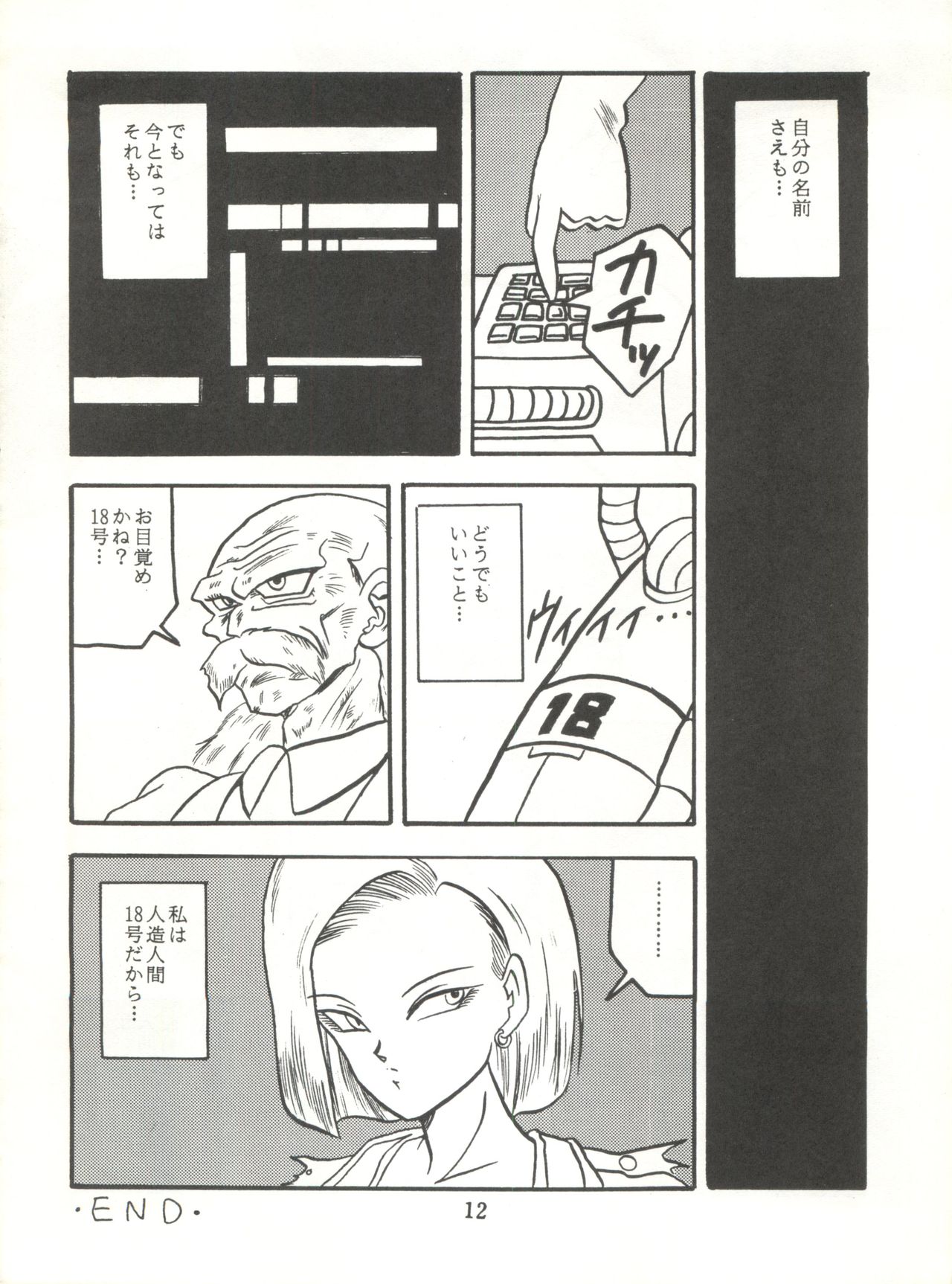 Replicate page 12 full