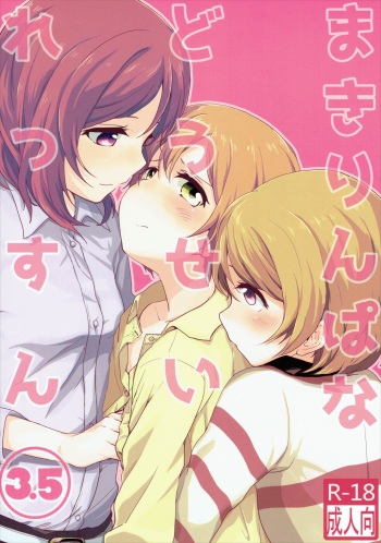 (Bokura no Love Live! 10) [Kurocan (Itsuki Kuro)] MakiRinPana Dousei Lesson 3.5 (Love Live!) cover