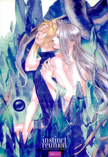 (C79) [nightflight (Yui)] instinct reunion (Final Fantasy VII) cover