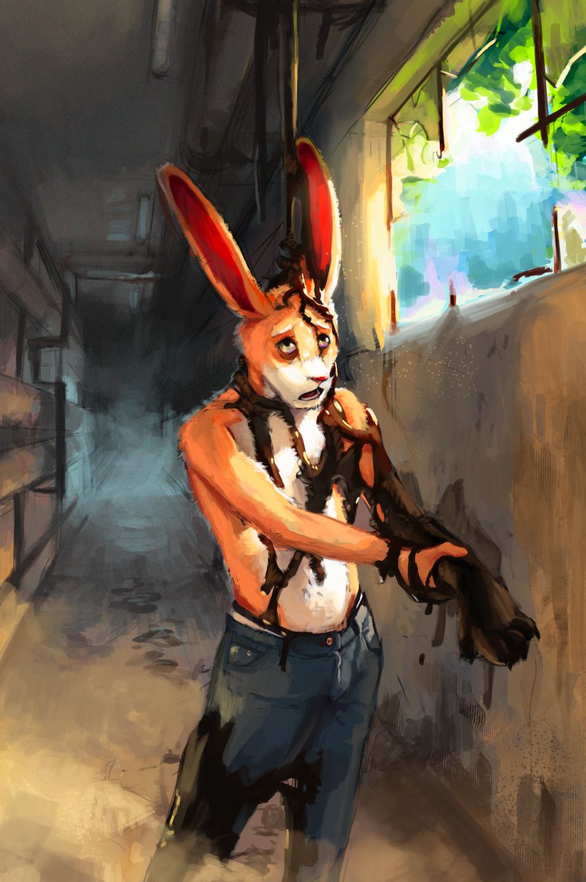 flir page 12 full