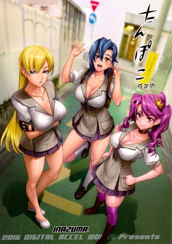 (C91) [Digital Accel Works (INAZUMA)] Tanpoko 3 cover