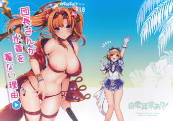 (SC2015 Autumn) [Jitaku Ijouari! (Neet)] Danchou-san ga Mizugi o Kinai Riyuu | The Reason Captain Doesn't Wear a Swimsuit is... (Granblue Fantasy) [English] [ArnasB] cover