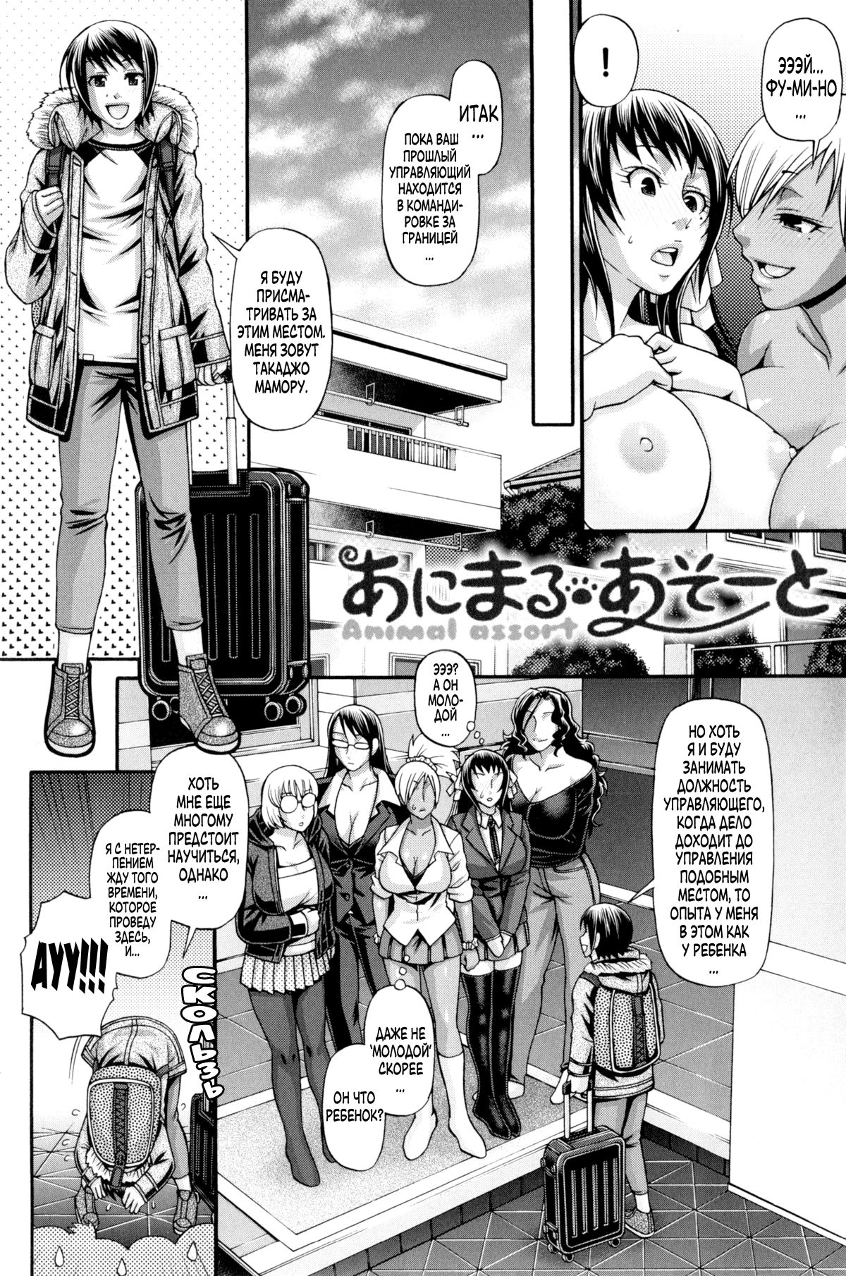Animal Assort page 11 full