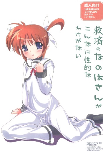 (Mimiket 23) [Testa Kitchen (Testa)] Kyuusai no Nanoha-san ga konnani Seiteki wake ga nai (Mahou Shoujo Lyrical Nanoha) cover