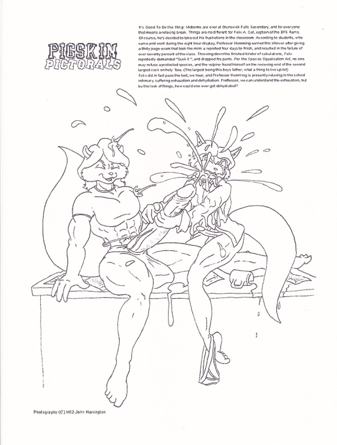 Pigskin page 11 full