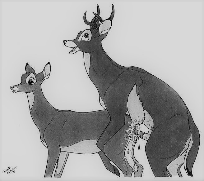 Randy Muledeer Gallery page 1 full