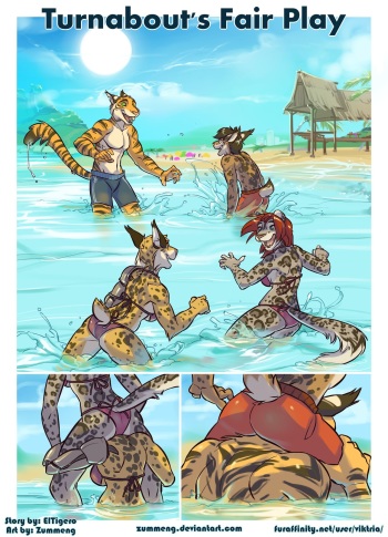 [Zummeng] Turnabout's Fair Play cover