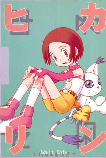 (C58) [Hitosuji Nawa (Ryo Kumagaya)] Hikarin (Digimon) cover