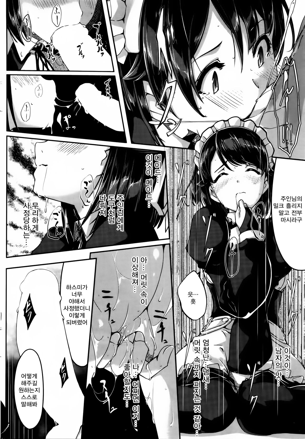 Reika wa Karei na Boku no Maid Ch. 5 | 레이카는 화려한 나의 메이드 5화 page 11 full