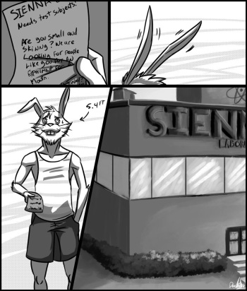 [Wolfthings] Big Boy Bunny! cover