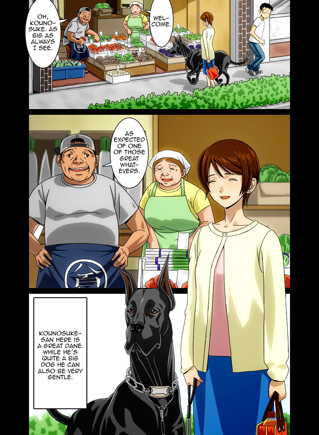 “Wonderful Life” ~Shufu to “Aiken” no Hisoyaka na Gogo~ page 12 full