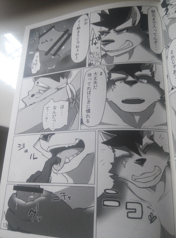 Hatashiai Musashi-den page 12 full