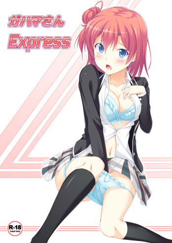 (C88) [Gihutoberu (Magorona)] Gahama-san Express (Yahari Ore no Seishun Love Come wa Machigatteiru.) cover
