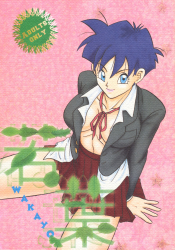 [Chirigami Goya, Fusuma Goten (Shoji Hariko, Kuri)] Wakayo (Dragon Ball GT) cover