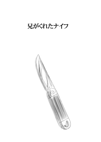[Nighthawk Project] Ani ga kureta Naifu cover