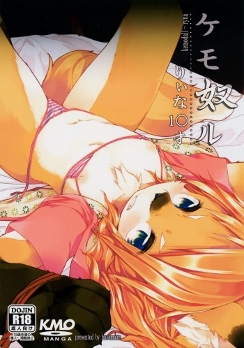 (C85) [Havemoon (Kizuki Akizuki)] kemodall - ryna 1○-sai cover