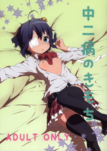 (CT21) [Tengudou (Tengudake)] Chuunibyou no Kimochi (Chuunibyou demo Koi ga Shitai!) [Korean] [팀 아동복지부] cover