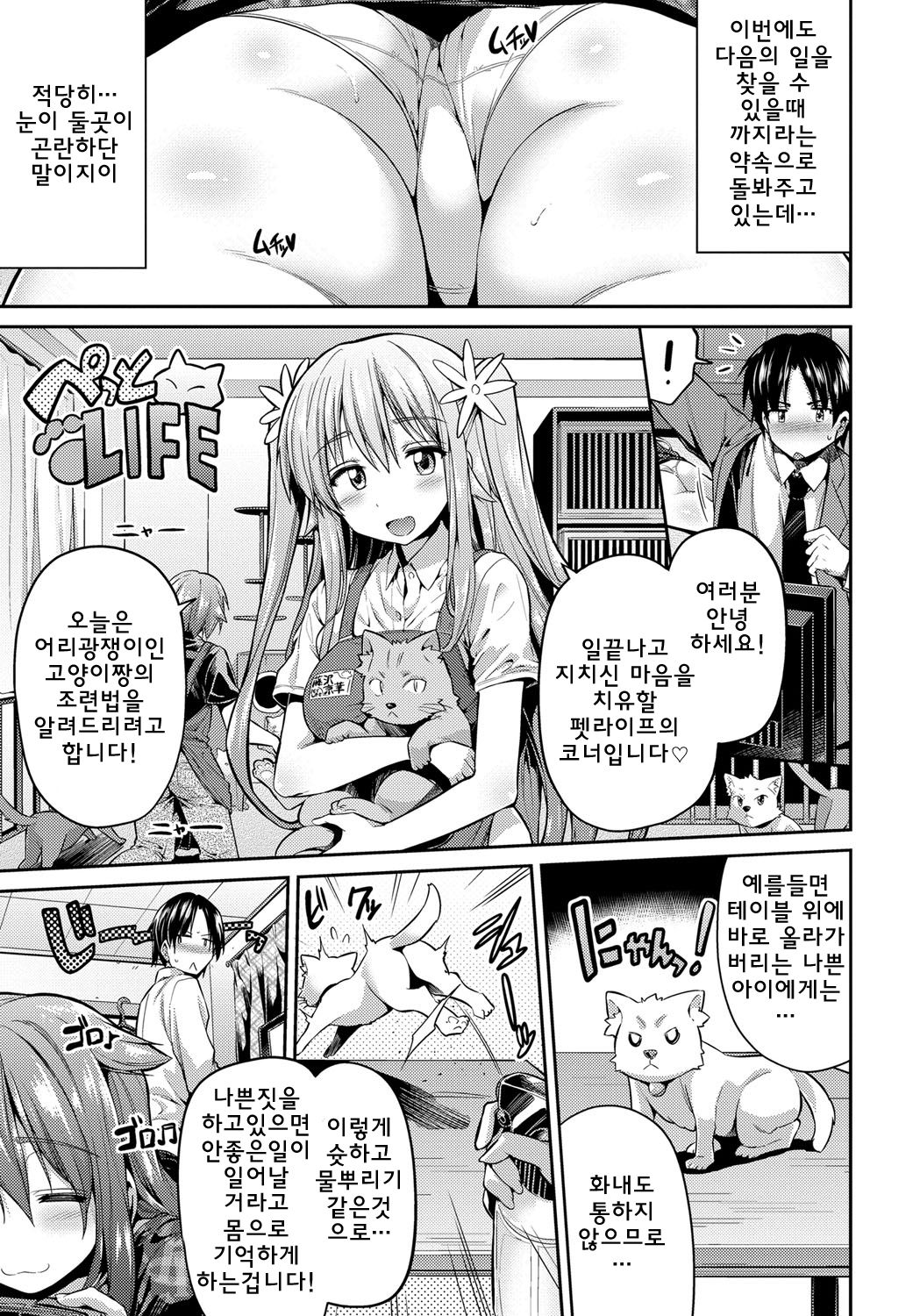 Pet na Ane no Shitsukekata | 애완동물인 누나의 조련법 page 3 full