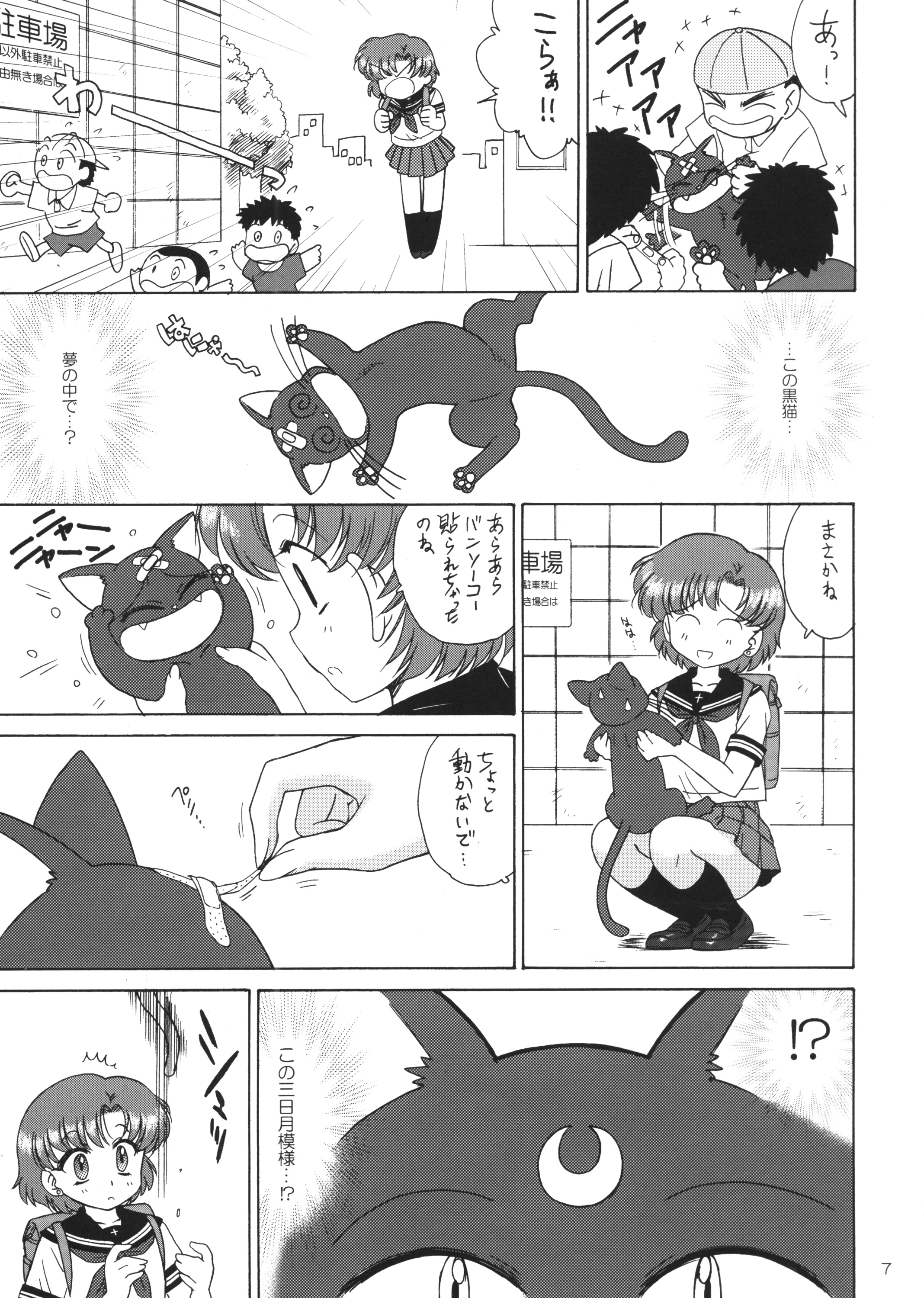 SUBMISSION-R RE MERCURY page 6 full
