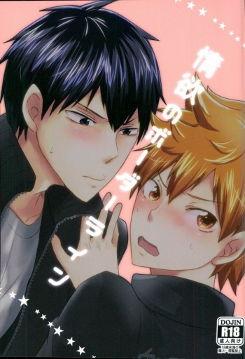 情欲のボーダーライン (Haikyuu!!) cover