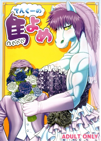 (Kansai! Kemoket 5) [Seiitsukyou (Goto-Beido)] Tenkuu no Uma Yome (Dragon Quest V) cover